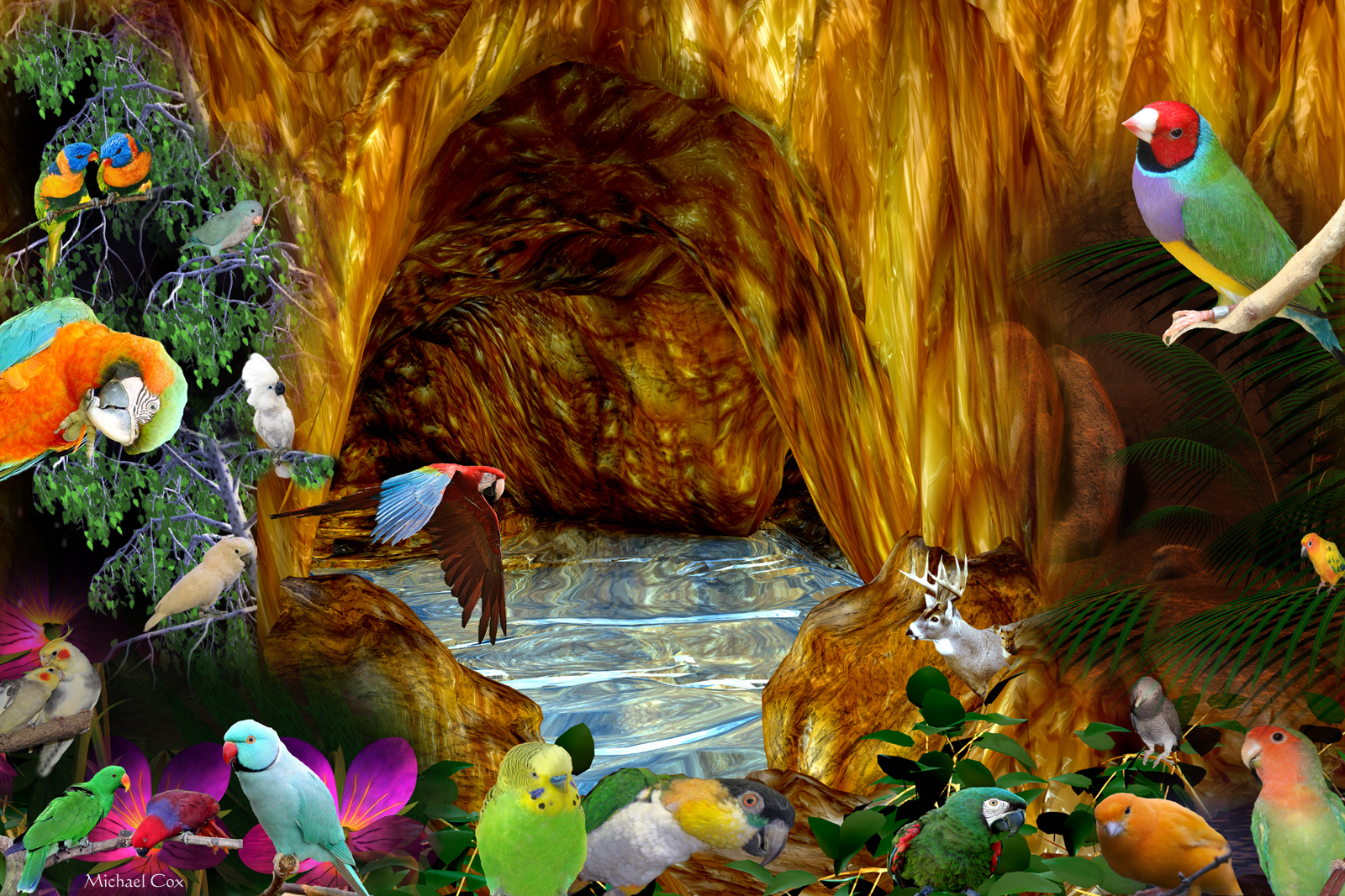 Bird Whisperer Michael CoxBird Taming from Global Nest Exotic Bird