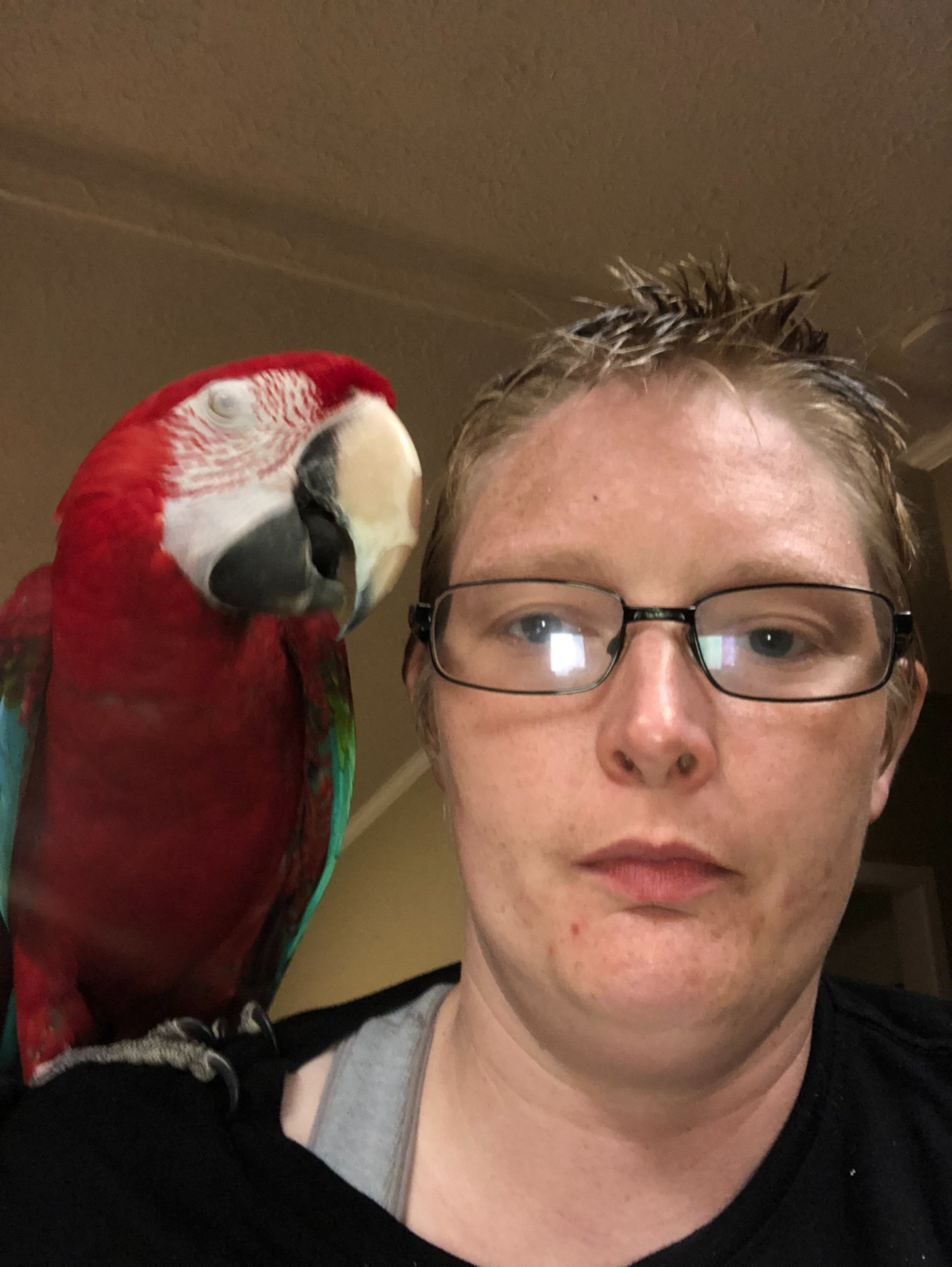 Exotic Birds Care Resources The Bird Whisperer